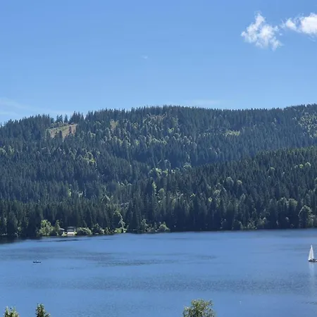Ferienwohnung Lodge Am See - Terrasse - Kachelofen In Ruhiger Lage Nahe Schluchsee Exterior foto