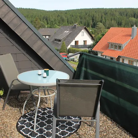 Ferienwohnung Lodge Am See - Terrasse - Kachelofen In Ruhiger Lage Nahe Schluchsee Exterior foto